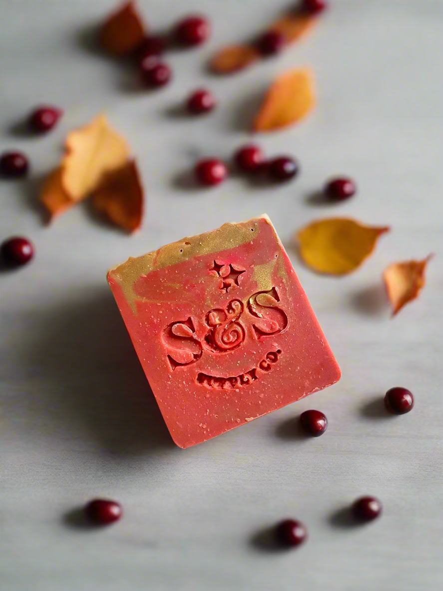 *NEW* Autumn Collection Soap